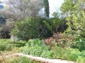 Λεπτομέρεια
